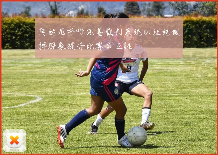 阿达尼呼吁完善裁判系统以杜绝假摔现象提升比赛公正性