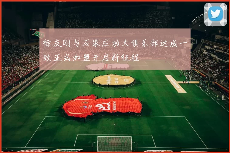 徐友刚与石家庄功夫俱乐部达成一致正式加盟开启新征程